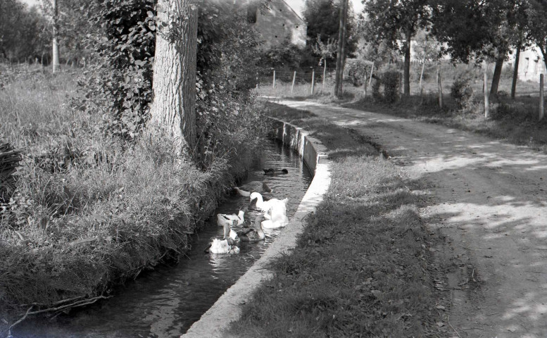 Beaumais : église et lavoir (photos n°601 à 606)