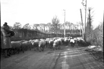 Noron-l'Abbaye : église, fermes et campagne (photos n°693 à 711)