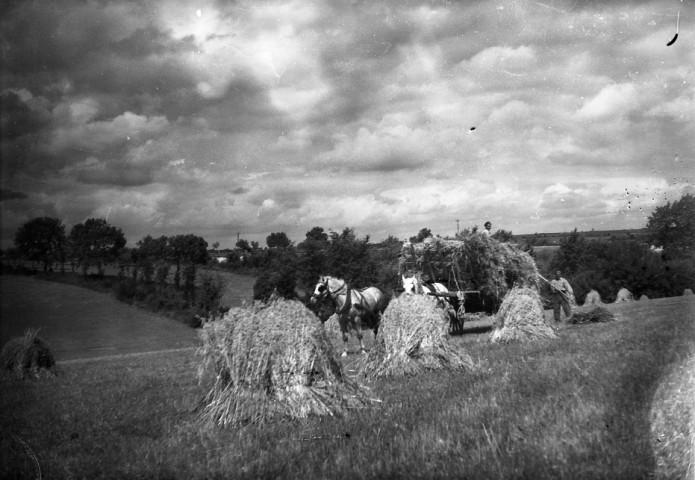 Chargement du foin dans une charrette à cheval (photos n°428 à 435)