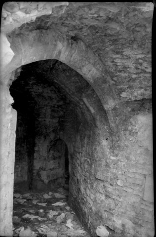 Plantes, cave voutée et muret (probablement à Falaise) (photos n°878 à 881)