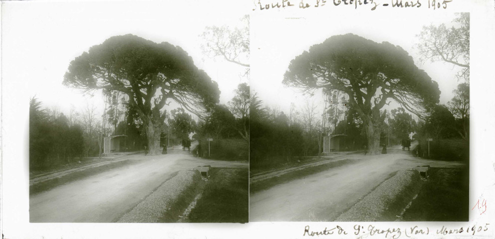 Saint-Tropez (photos n°11 à 16)