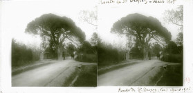 Saint-Tropez (photos n°11 à 16)