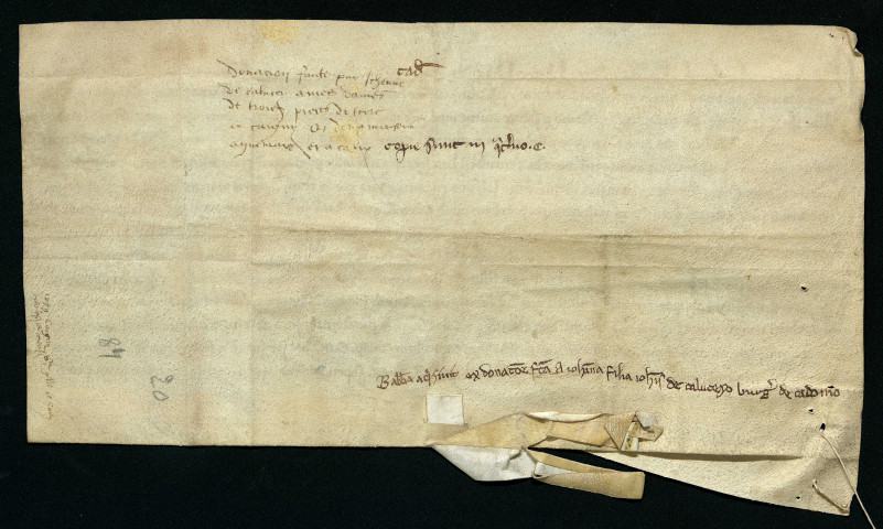 Jeanne, fille de Jean de Calix, donne toute la succession de son père à Cagny, Guymare et Calix