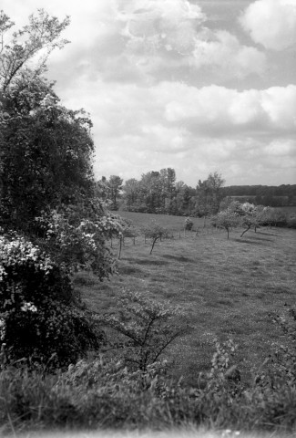 Eraines : campagne et pommiers en fleurs (photos n°629 à 650)