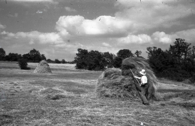 Fauchage, ramassage du foin et de la paille, moissonnage du blé, charrue de labour (photos n°510 à 529)
