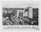 Falaise, château
