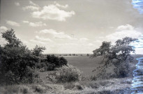 Falaise : campagne près de la Route de Saint-Pierre sur Dives (photos n°724 à 730)