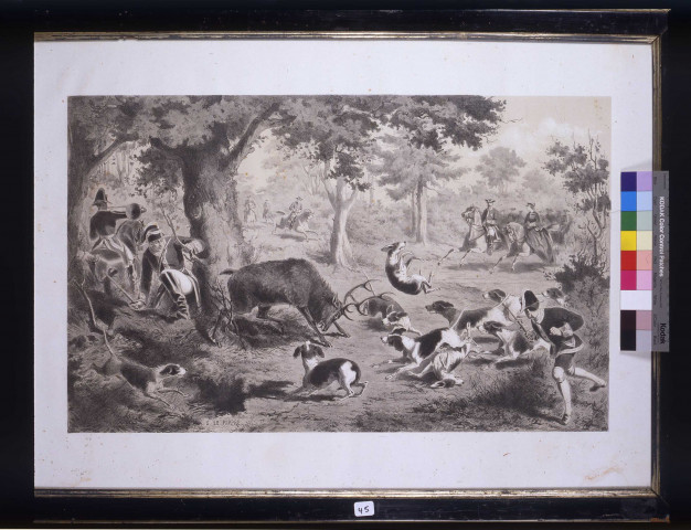 (La chasse au cerf). Par Le Pippre, Septime,