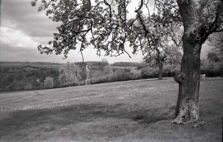 Vues du quartier Saint Laurent : avenue de Caen, chemin de la Vallée ... (photos n°251 à 257, n°600)