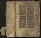 Thomas d'Aquin, Exposition sur l'Evangile de Saint JeanS. Thom Aquinatis expositio in evangelium S. Johannis