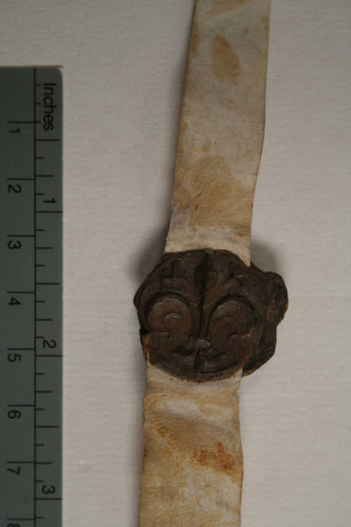 Copie d'une charte de Guillaume comte de Ponthieu confirmant les biens de l'abbaye