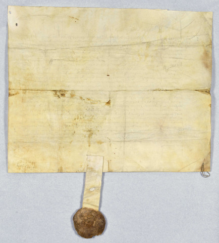 Lettre patente de Charles IX de petit sceau, avec un sceau très bien conservé