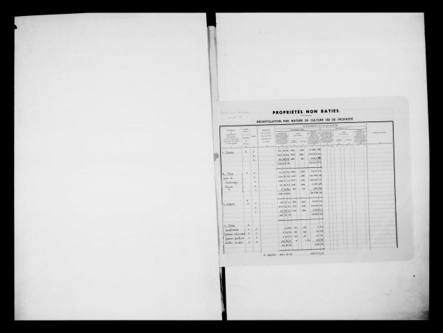 matrice cadastrale des propriétés non bâties, 1913-1963, 1er vol. (folios 1-488)