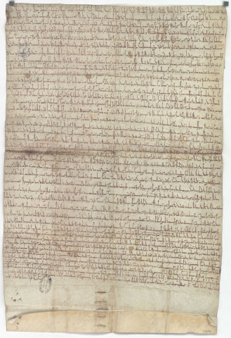 Henri II, duc de Normandie, roi d'Angleterre