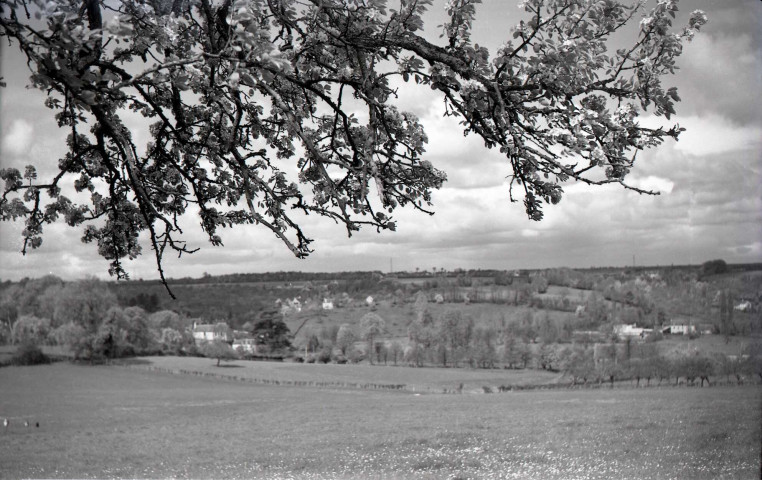 Vues du quartier Saint Laurent : avenue de Caen, chemin de la Vallée ... (photos n°251 à 257, n°600)