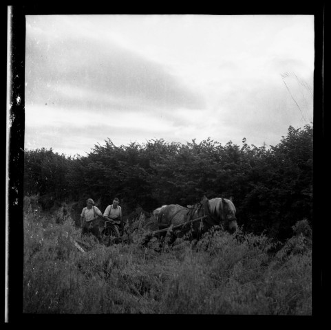 Normandie (1945-1960) (photos n°613 à 757)