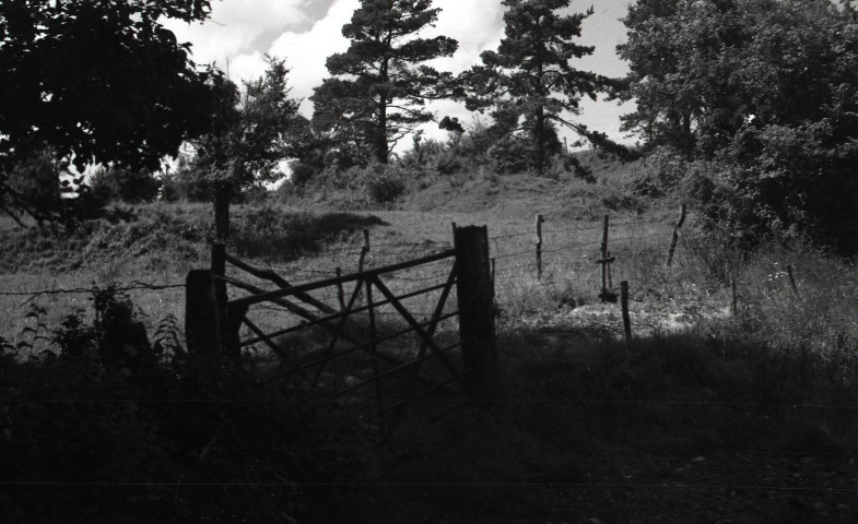 Soulangy : église, campagne, moutons (photos n°760 à 768)