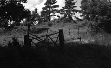 Soulangy : église, campagne, moutons (photos n°760 à 768)