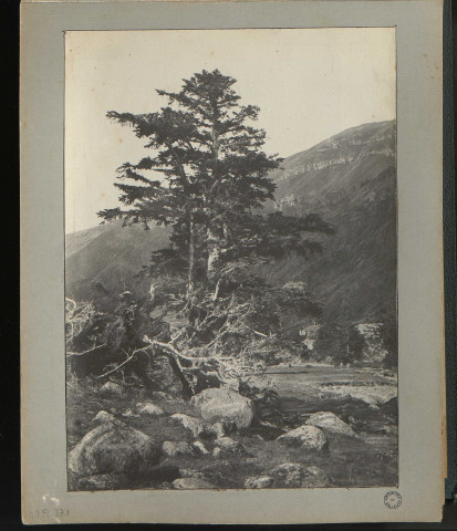 Paysage montagneux (photo n°371)