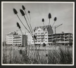 Une photographie des immeubles en construction Quai de Juillet à Caen le 5 juin 1954 (époque de la Reconstruction), par la Radio Times Hulton Picture Library.