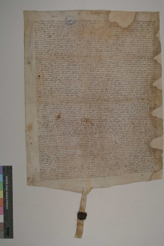 Copie d'une charte de Guillaume comte de Ponthieu confirmant les biens de l'abbaye