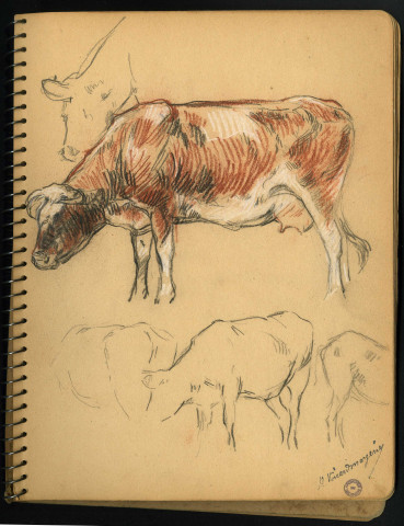 Carnet de croquis, par Adrien Voisard-Margerie