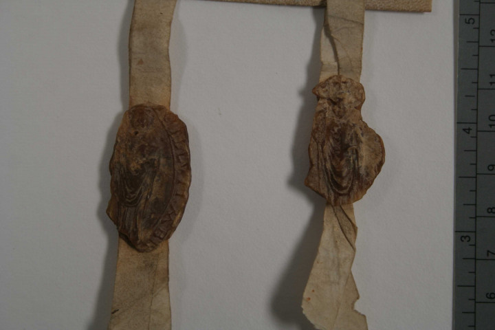 Acte des abbés d'Aunay, Barbery et Saint-André-en-Gouffern reproduisant une bulle de Grégoire IX