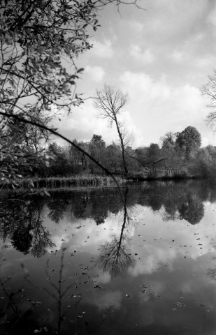 Pertheville-Ners : étang (photos n°712 à 718)