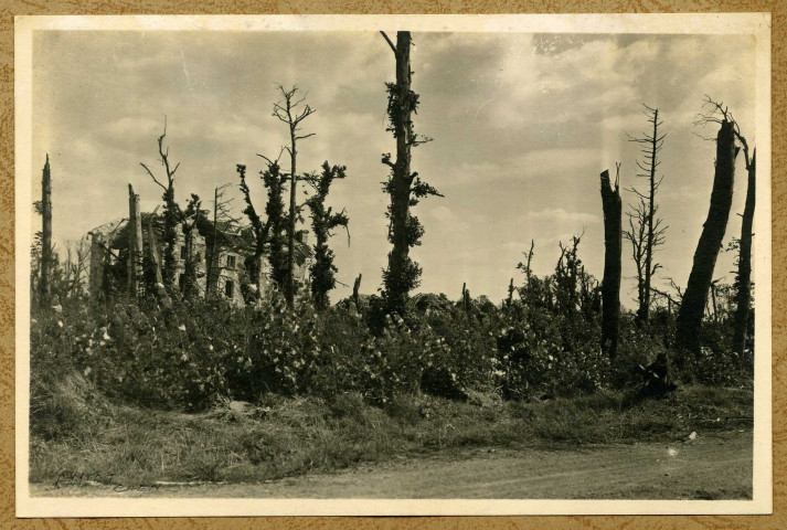 Vue d'un château ou d'un manoir détruit non identifié (photos 15, 16 et 49).