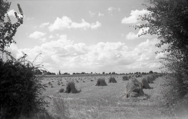 Meules de paille (photos n°582 à 583)