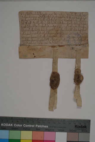 Acte des abbés d'Aunay, Barbery et Saint-André-en-Gouffern reproduisant une bulle de Grégoire IX