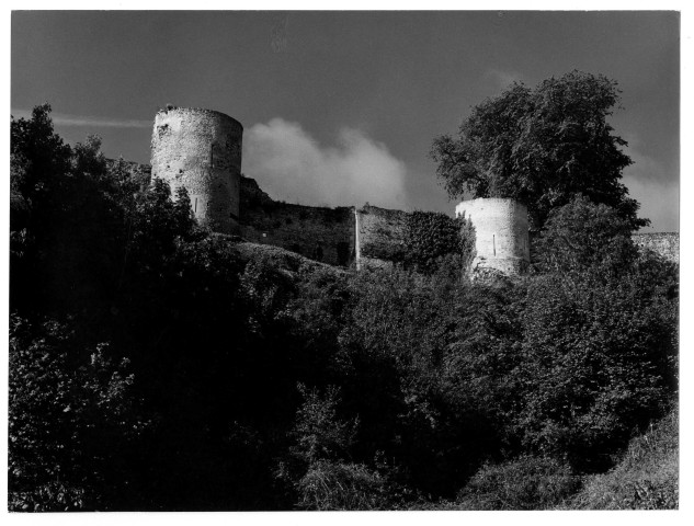 n°1344-1359 : FALAISE : Le Château ducal.