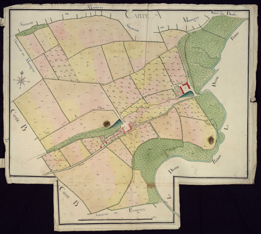 "Domaine non fieffé, tennement du manoir du Coesel, terres relevant de la seigneurie de planquery" (plans n° 66 et 67)