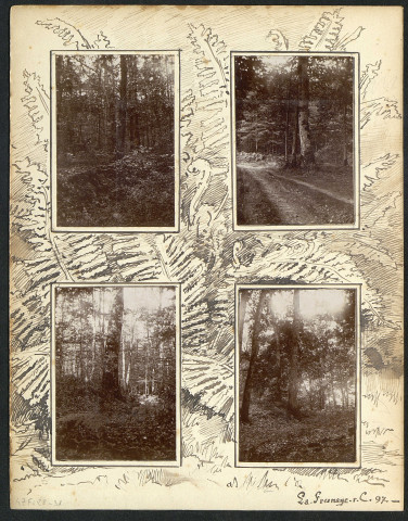 Photos 28 à 31 : Bois de La Fresnaye-sur-C. (A V) (1897)