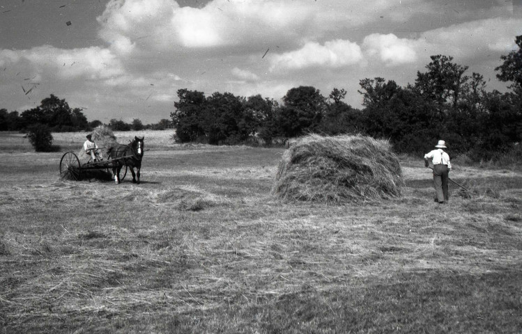 Fauchage, ramassage du foin et de la paille, moissonnage du blé, charrue de labour (photos n°510 à 529)