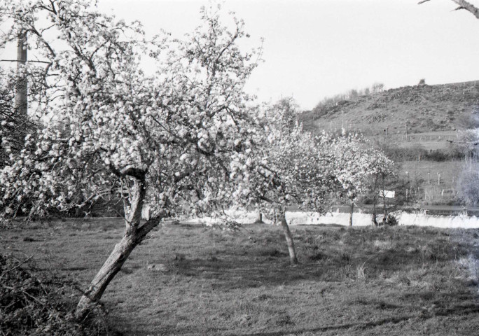 Saint-Philbert-sur-Orne : barrage, usine, campagne (photos n°831 à 834)