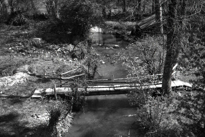 Ménil-Hermei : rivière et pommiers (photos n°825 à 829)