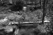 Ménil-Hermei : rivière et pommiers (photos n°825 à 829)