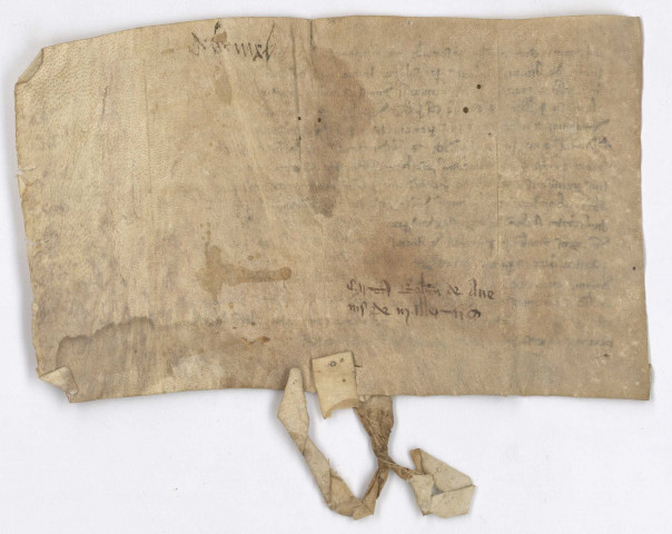 Avoines (Orne, canton d'Ecouché)