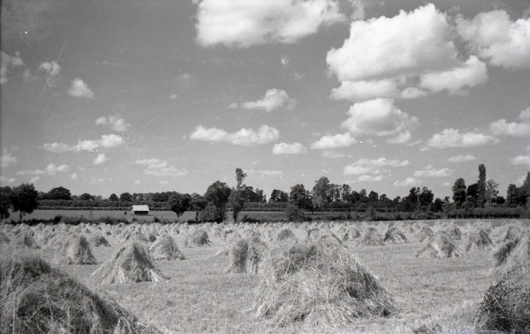 Meules de paille (photos n°582 à 583)