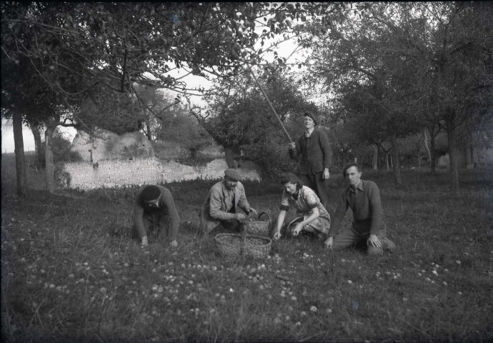 Ramassage des pommes, fauchage, labourage, meules de foin et de paille, moissons (photos n°465 à 509)