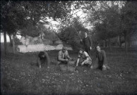 Ramassage des pommes, fauchage, labourage, meules de foin et de paille, moissons (photos n°465 à 509)