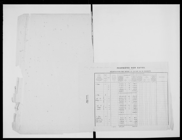 matrice cadastrale des propriétés non bâties, 1913-1971, 1er vol. (folios 1-482)