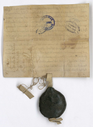 Plusieurs actes de Symon Pellevé, parfois avec des sceaux bien conservés (dont un sceau détaché de l'acte)