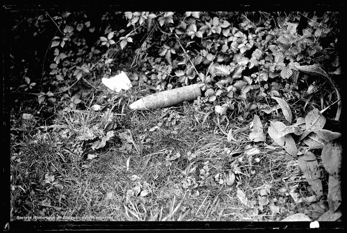 Obus et diverses munitions retrouvés à Saint-Martin-de-la-Lieue (photos n°1157 et 1161)