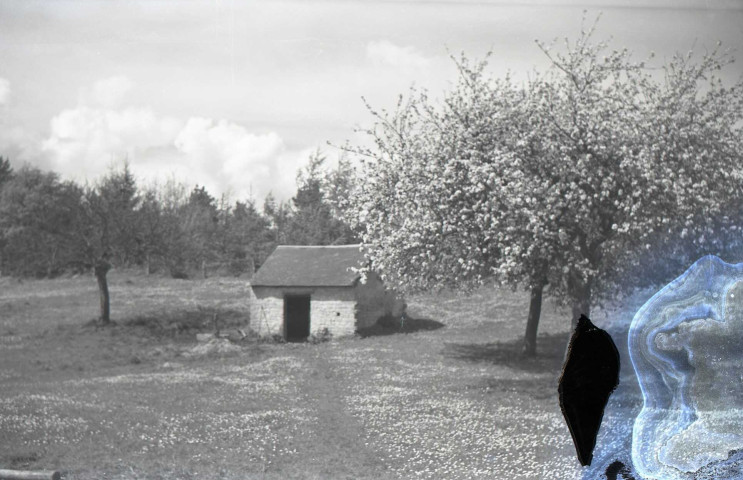 Falaise, campagne près de la Route de Bretagne (photos n°720 à 723)