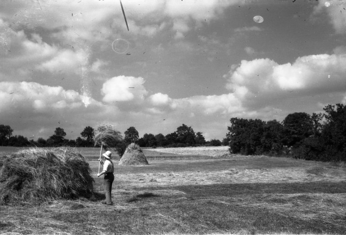Fauchage, ramassage du foin et de la paille, moissonnage du blé, charrue de labour (photos n°510 à 529)