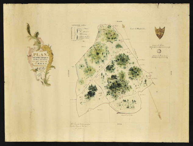 (Monfreville) : Plan géométrique du bois de Calette levé par ordre de Mr H.G.C. de Briqueville. Par Youf géomètre