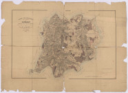 Carte topographique du canton de Livarot par Simon, géomètre en chef du cadastre