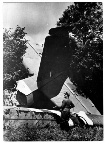 Officier allemand devant un avion abattu (photos 93 et 274)